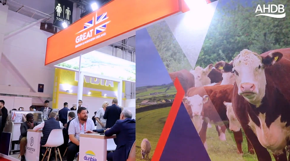 Videography-of-Gulfood-Event